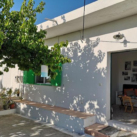 Maison De Village Au Calme - Alonia Village House Psinthos Экстерьер фото